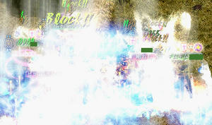 20080912_8.jpg
