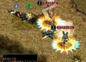 20080913_5.jpg