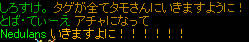 20080919_2.jpg