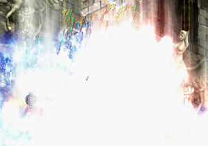 20080928_2.jpg