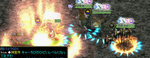 200810013_1.jpg