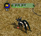 200810015_4.jpg