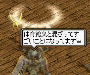 200810016_13.jpg