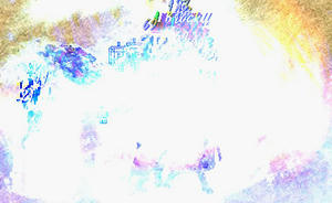 20081117_3.jpg