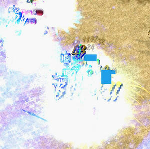 20081117_6.jpg