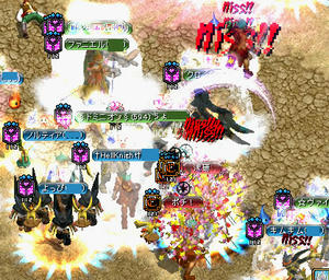 20081117_24.jpg