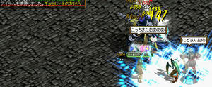 20090209_8.jpg