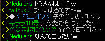 20090211_3.jpg