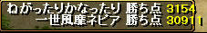 20090211_15.jpg