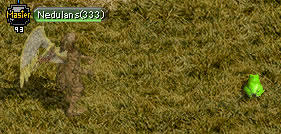 20090214_1.jpg