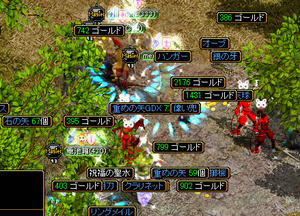 20090215_3.jpg