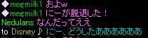 20090217_4.jpg