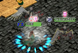 20090217_13.jpg