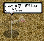 20090302_3.jpg