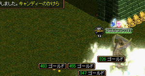 20090313_18.jpg
