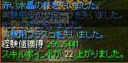 20090317_9.jpg