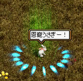 20090326_01.jpg