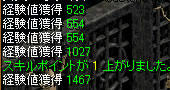 20090326_10.jpg