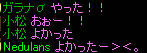 20090410_44.jpg