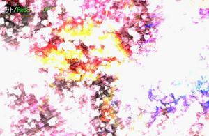 20090515_29.jpg