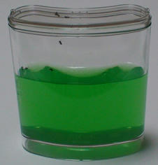 20090608_6.jpg