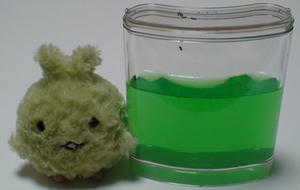 20090608_7.jpg
