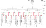WS000001_1.jpg