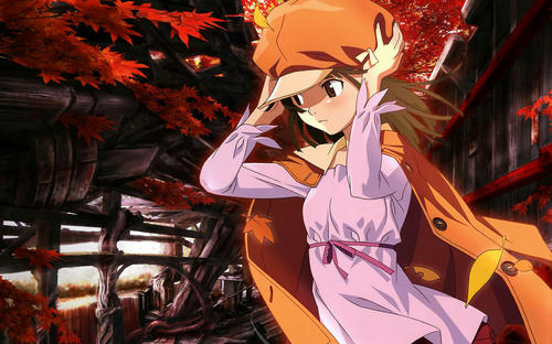 0001-b-bakemonogatari074_nin.jpg