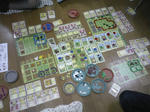 P1000430.jpg
