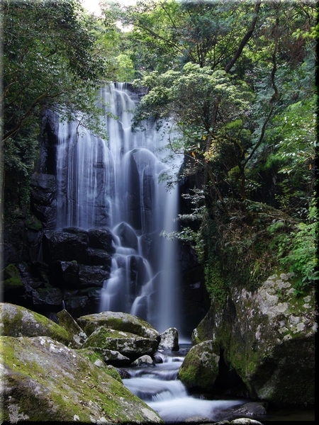 桑ノ木の滝 八草の滝 遠近望で雰囲気は大違い 食べ過ぎ注意報発令中