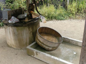 CIMG0937.JPG