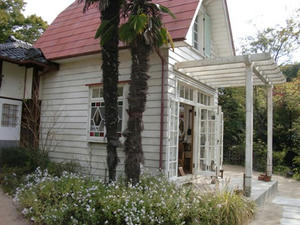 CIMG0942.JPG