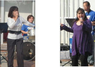 Festasong