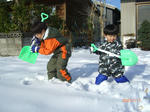 ２号と３号、雪と戯れる