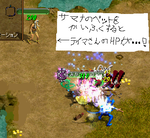 召還獣の近くにいる人にＰＯＴを投げると・・・！