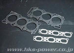 gt800_img_gasket_1.jpg