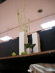 i010.gif