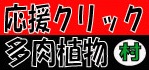 にほんブログ村 花・園芸ブログ 多肉植物へ