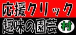 にほんブログ村 花・園芸ブログ 趣味の園芸へ