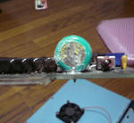 DSC00102.jpg