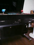 DSC00117.JPG