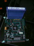 DSC00202.JPG