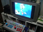 DSC03288.JPG