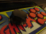 DSC04007.JPG