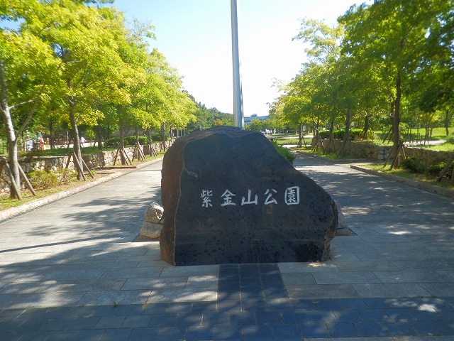 紫金山公園
