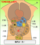 長嶋茂雄体内メーカー