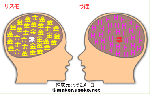 リスモ＆うほ