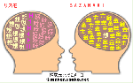 リスモ＆SAZANAMI