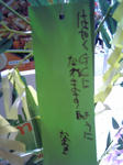 070628_173257_M.jpg