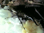 DVC00024_M.jpg